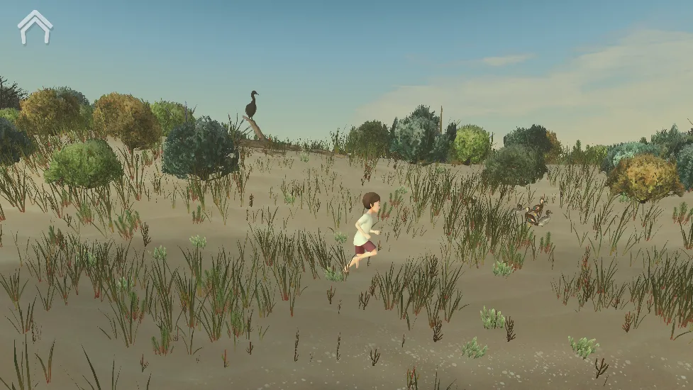 男孩与鹈鹕2025下载安装 男孩与鹈鹕2025下载安装