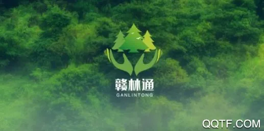 河北林长2025最新版本 河北林长2025最新版本