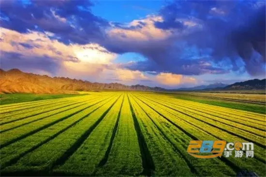 ����ũ��2025���°汾