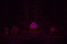 ̩�����Ǵ浵2026���°汾