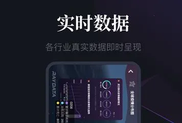 RayData2026�ٷ����°汾