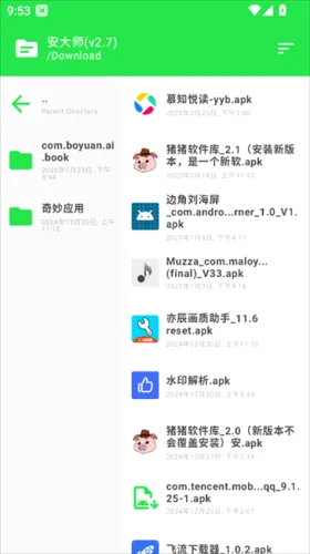 安大师浏览器(应用管理工具)
