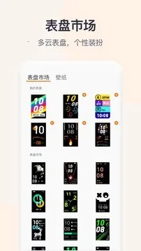 QWatchPro(������������)