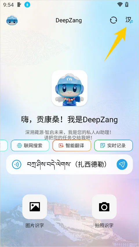 DeepZang2026�ٷ�����