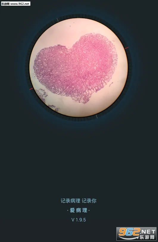 ������2026���°汾